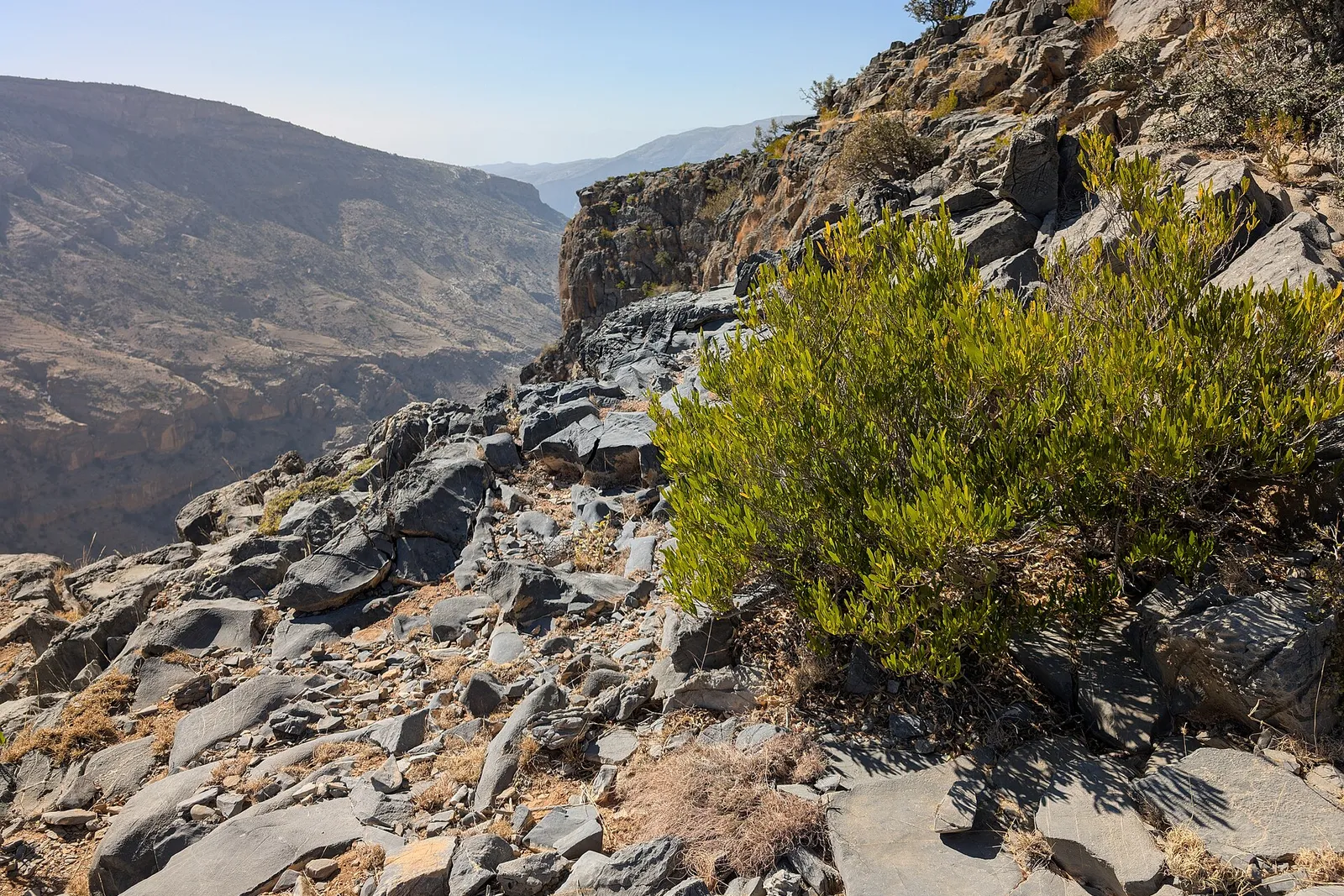 Around Al Dakhiliyah Governorate