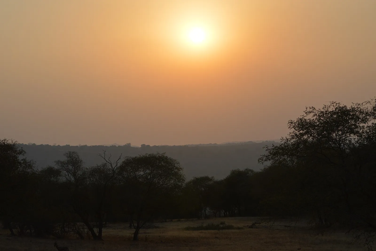Autour de Ranthambore