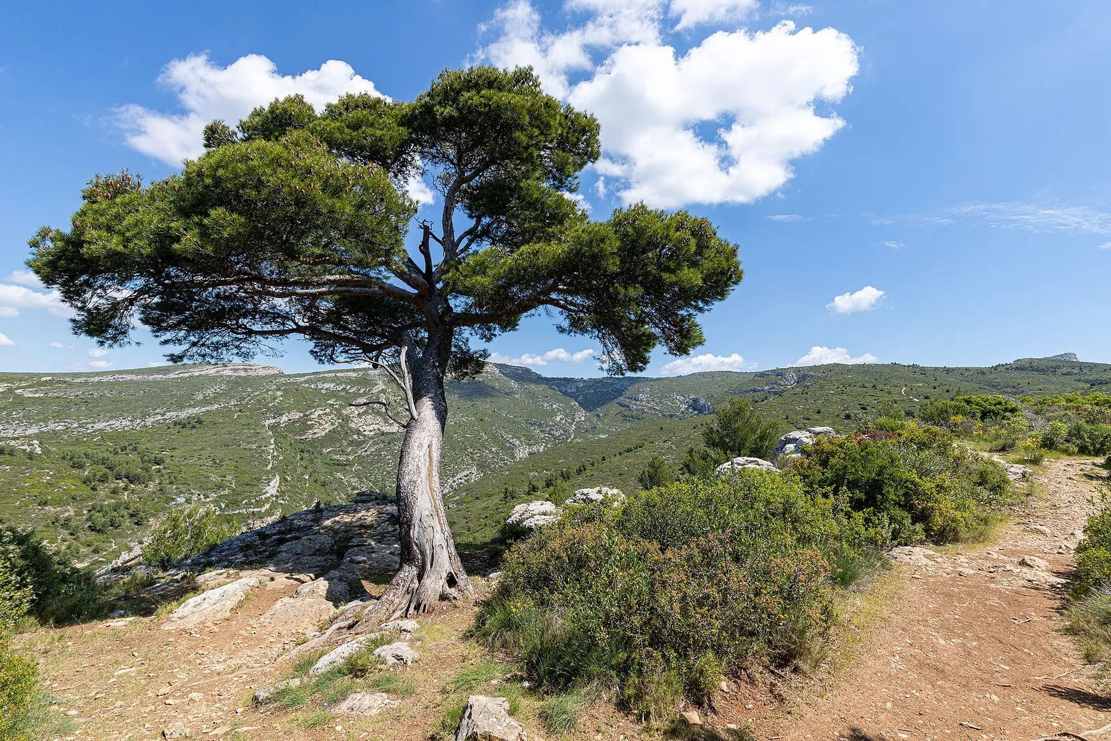 Autour de Allauch