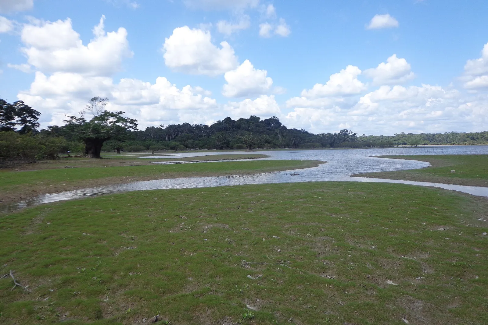 Around Cuyabeno Reserve