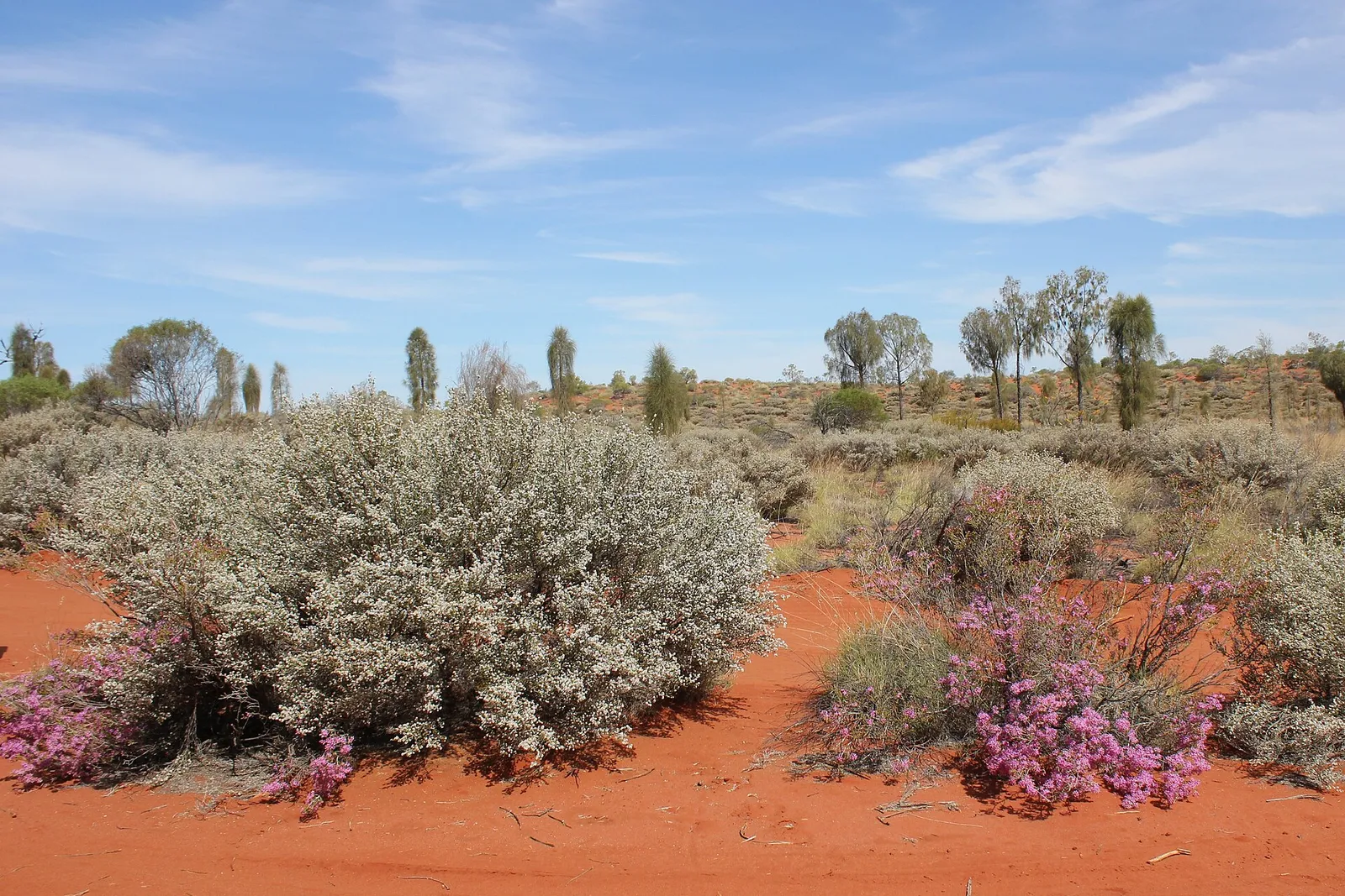 Around Uluru