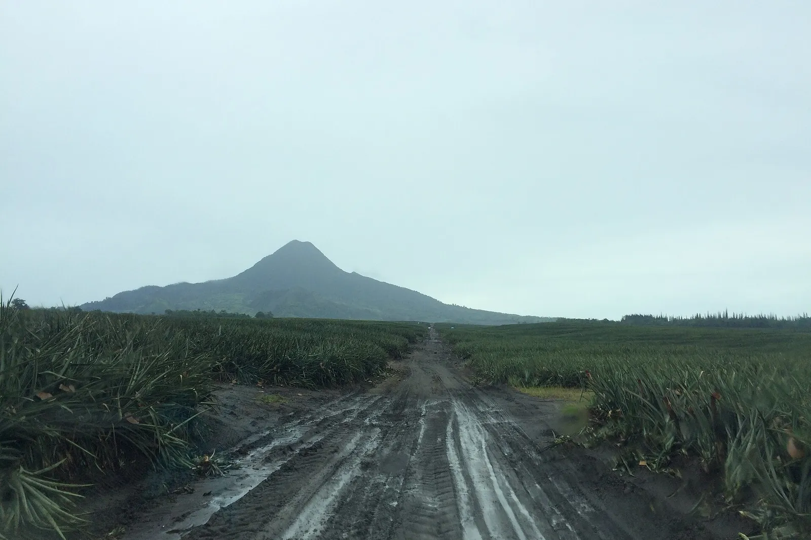 Autour de Tupi