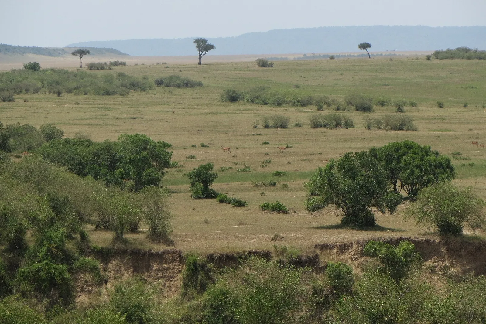 Around Masai Mara National Reserve