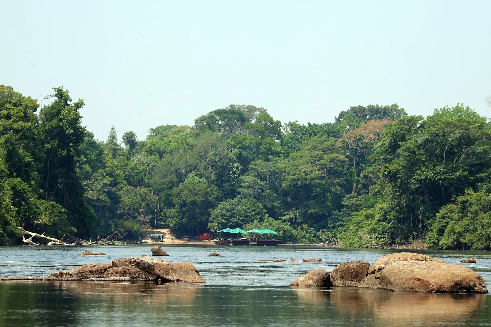 Cristalino Lodge, Alta Floresta, Mato Grosso